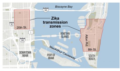 Pregnant Women Advised to Avoid Parts of Miami Beach