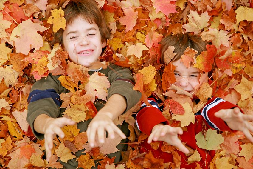 Fall Leaves and Boys