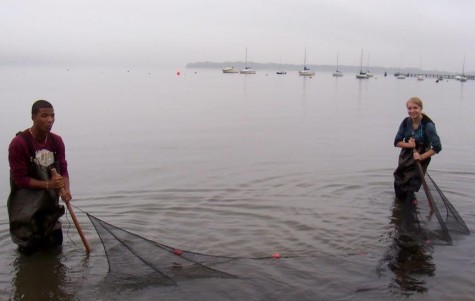 Green Ossining’s 5th Annual Earth Day Festival Comes to the Ossining Waterfront
